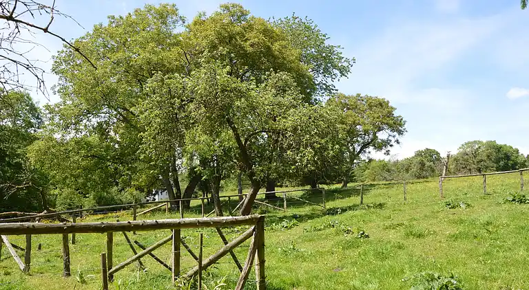 Maison de vacances en Ferrières
