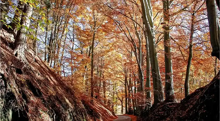 Cottage in Vieuxville