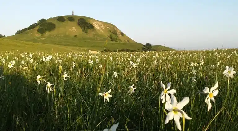Casa vacanze in Grumale