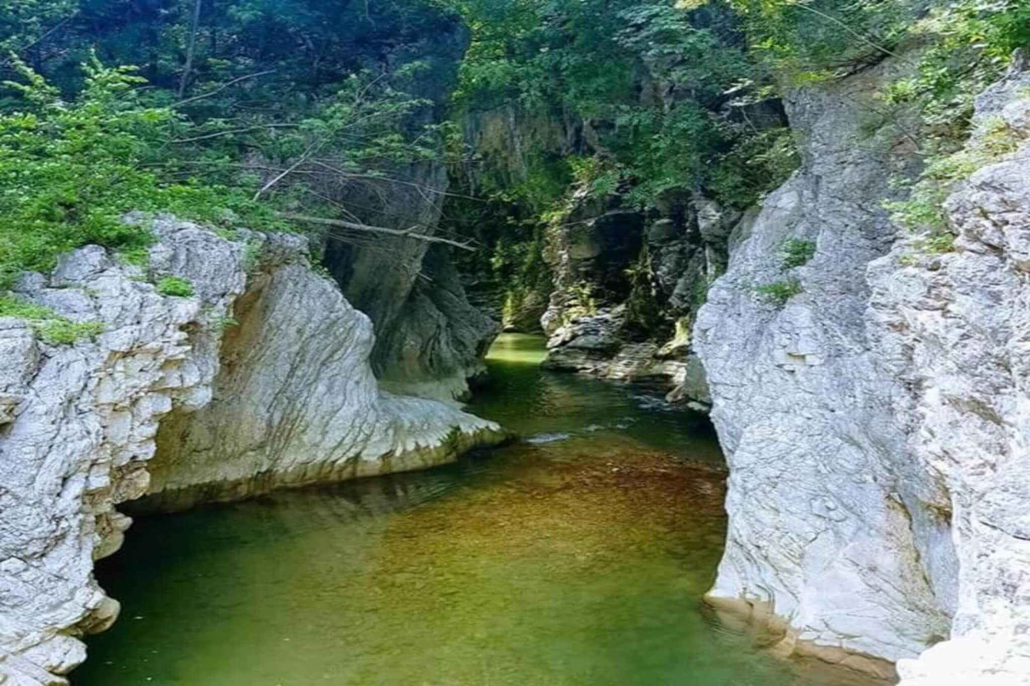 Large Image