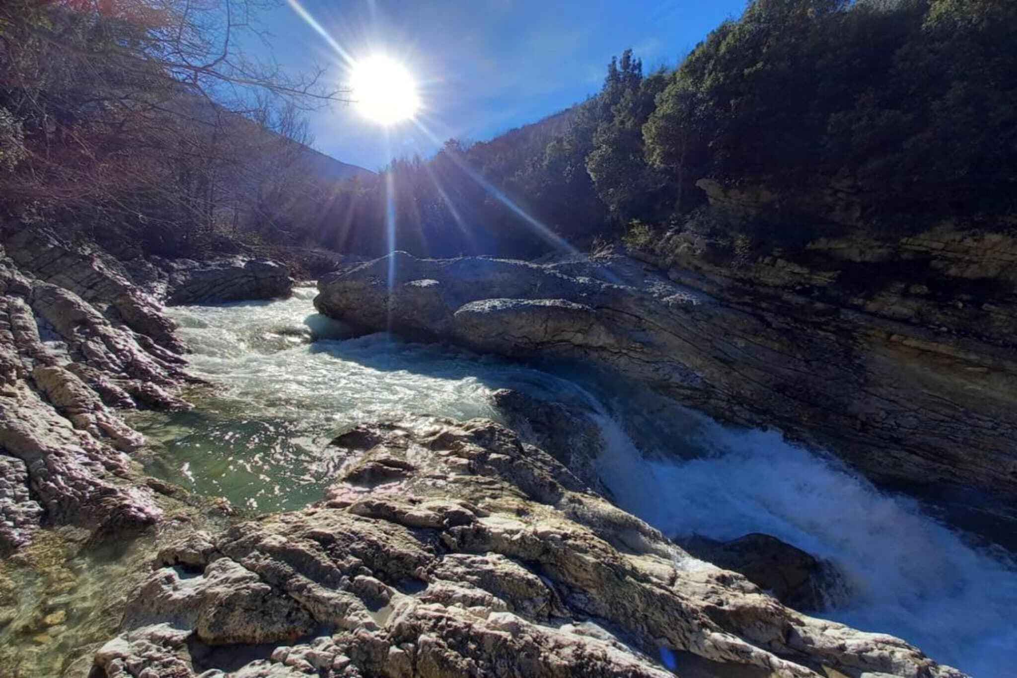 Large Image