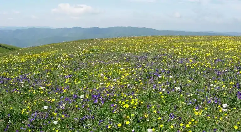 Casa vacanze in Grumale