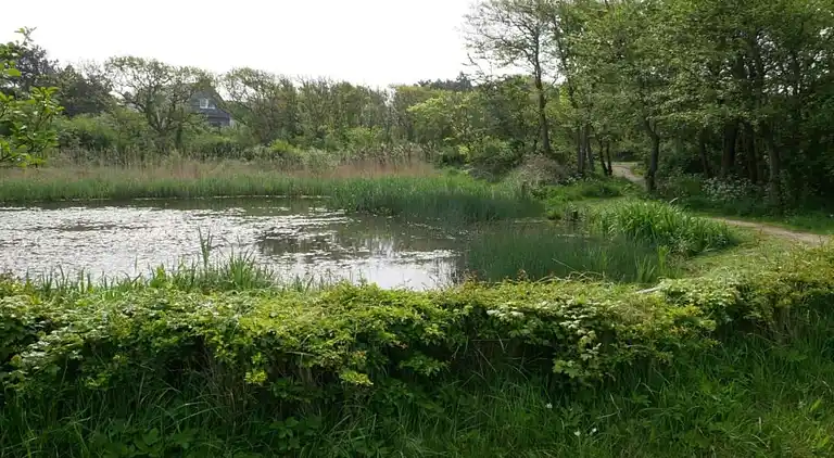 Ferielejlighed i Bergen aan Zee