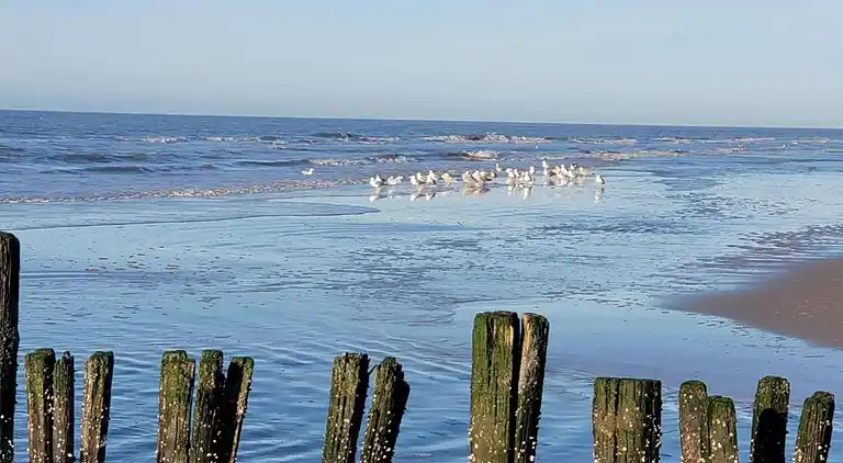 Ferielejlighed i Bergen aan Zee