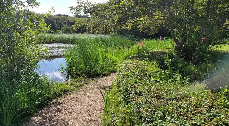 Ferielejlighed i Bergen aan Zee
