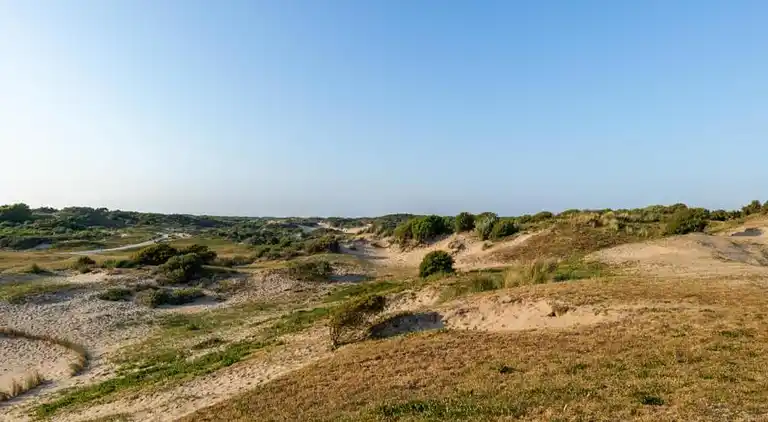 Holiday home in South Holland