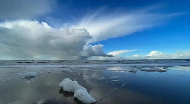 Ferielejlighed i Zuid-Holland