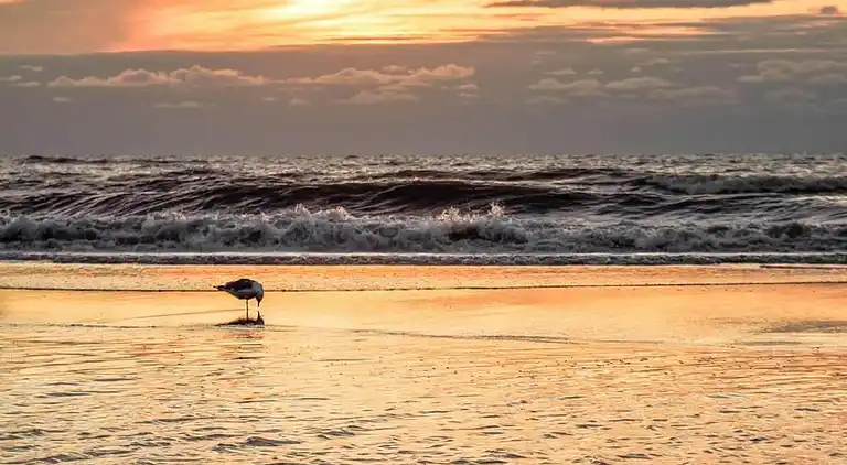 Ferielejlighed i Zuid-Holland