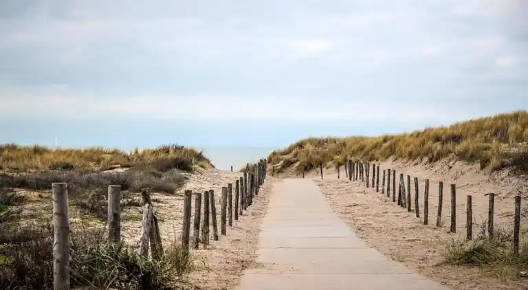Holiday home in South Holland