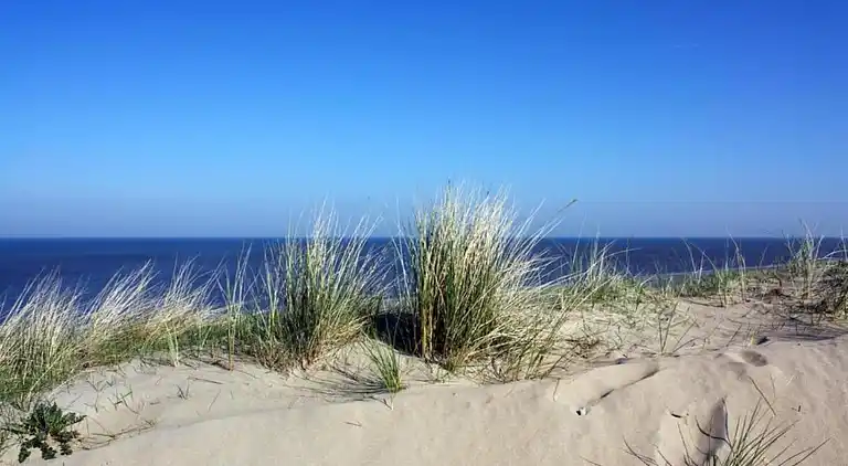 Casa vacanze in South Holland