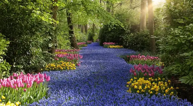 Holiday home in South Holland
