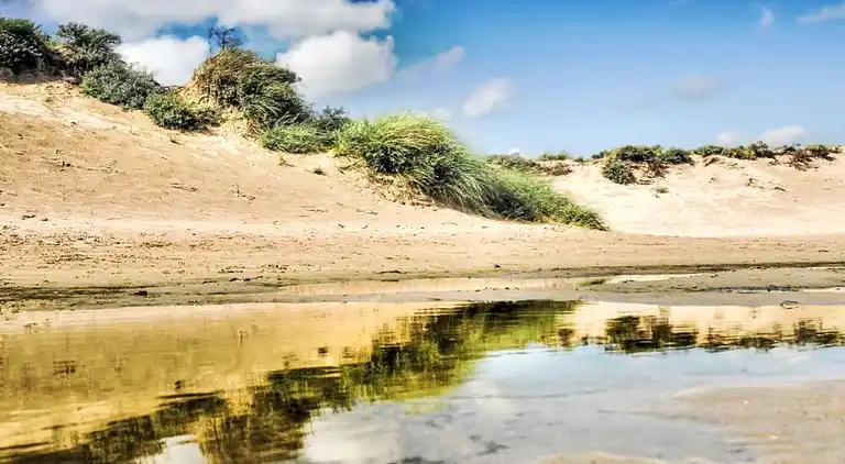 Holiday home in South Holland