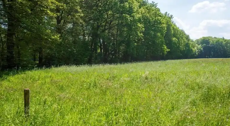 Sommerhus i Wilhelminadorp