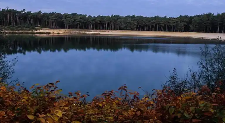 Sommerhus i Wilhelminadorp
