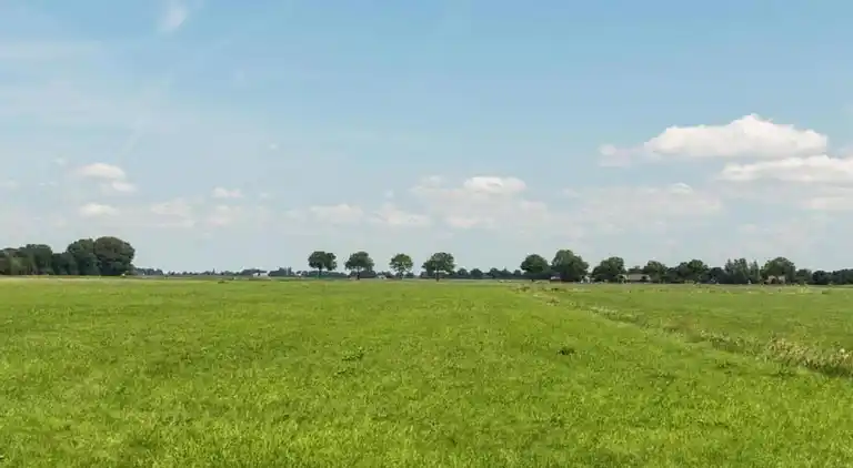 Sommerhus i Wilhelminadorp