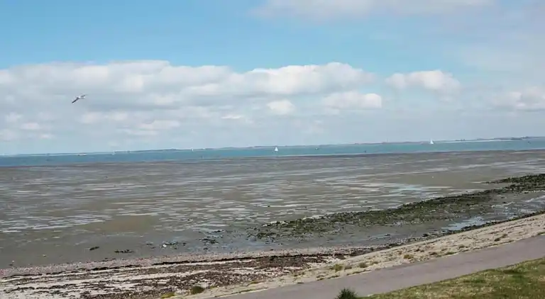 Sommerhus i Wilhelminadorp