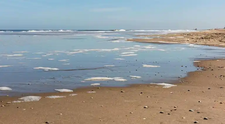 Apartment in Noordwijk aan Zee