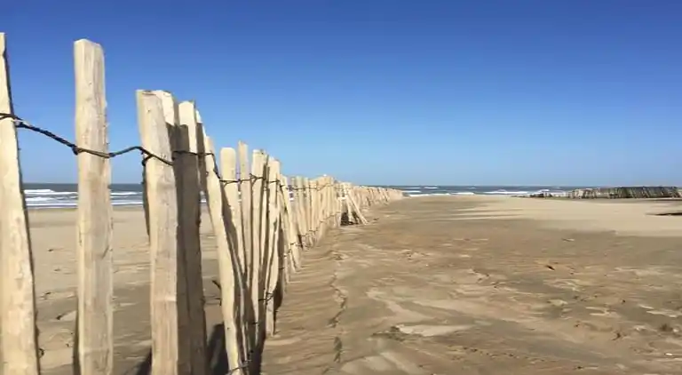 Apartment in Noordwijk aan Zee
