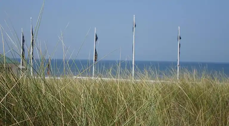 Apartment in Noordwijk aan Zee