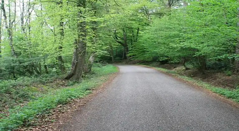 Cottage in Ootmarsum