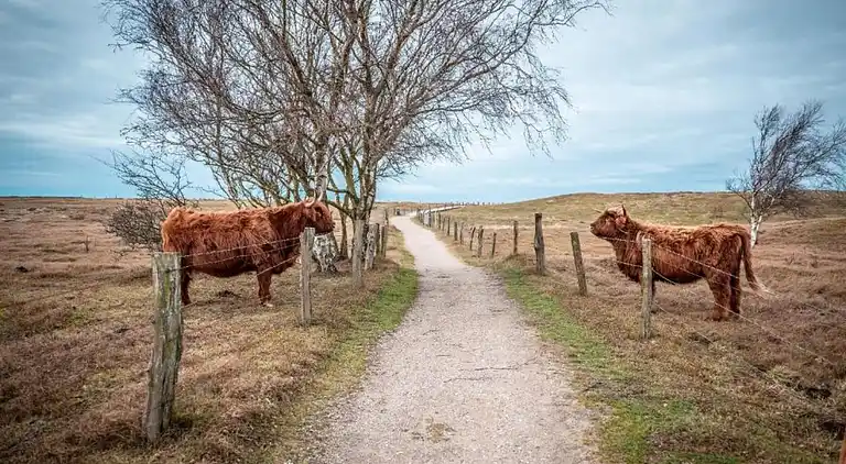 Ferielejlighed i Hinter Bollhagen
