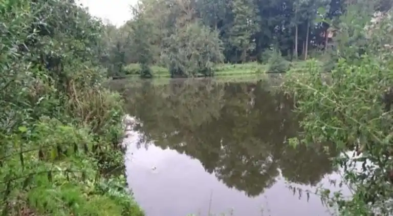 Ferielejlighed i Robertsdorf