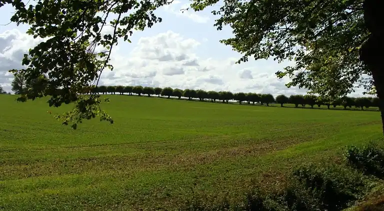 Apartment in Niederklutz