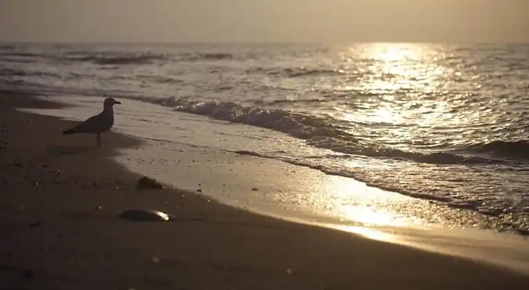 Ferielejlighed ved Østersøkysten Tyskland