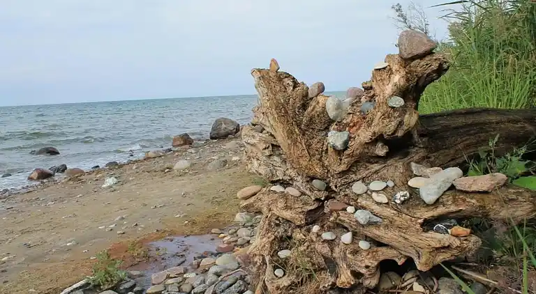 Apartment in Niederklutz