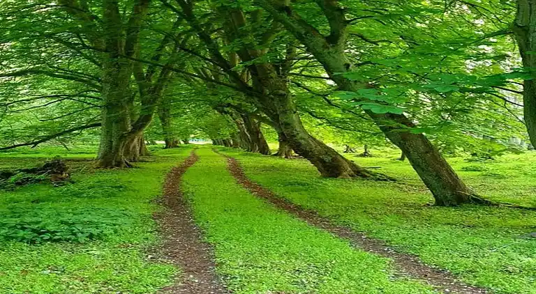 Ferielejlighed i Reddelich