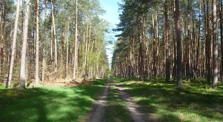 Apartment in Rövershagen
