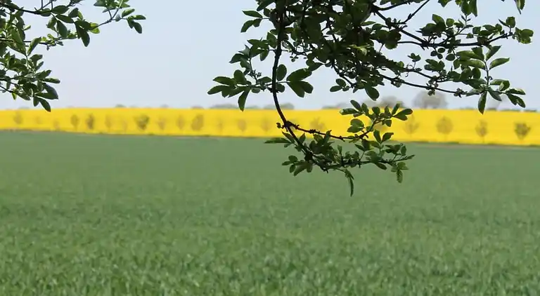 Ferielejlighed ved Østersøkysten Tyskland
