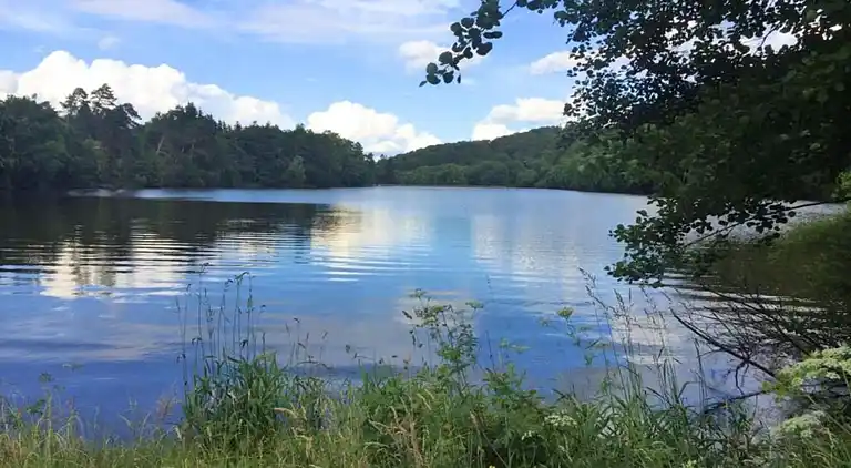 Holiday home in Neudorf