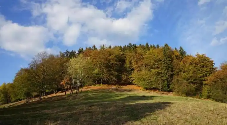 Holiday home in Neudorf