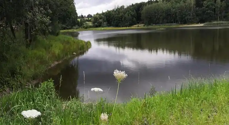 Holiday home in Neudorf