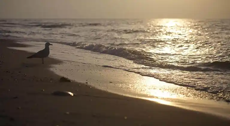 Appartement in Klein Pravtshagen