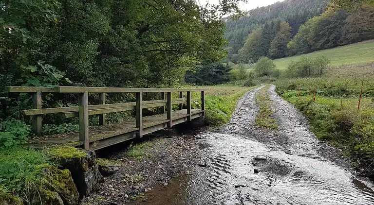 Apartment in Willingen (Upland)