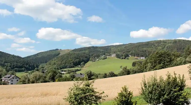 Apartment in Willingen (Upland)