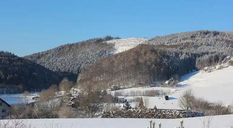 Apartment in Willingen (Upland)