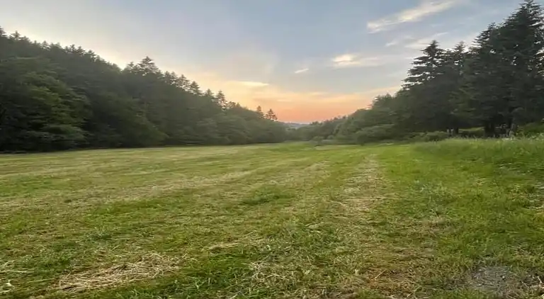 Apartment in Willingen (Upland)