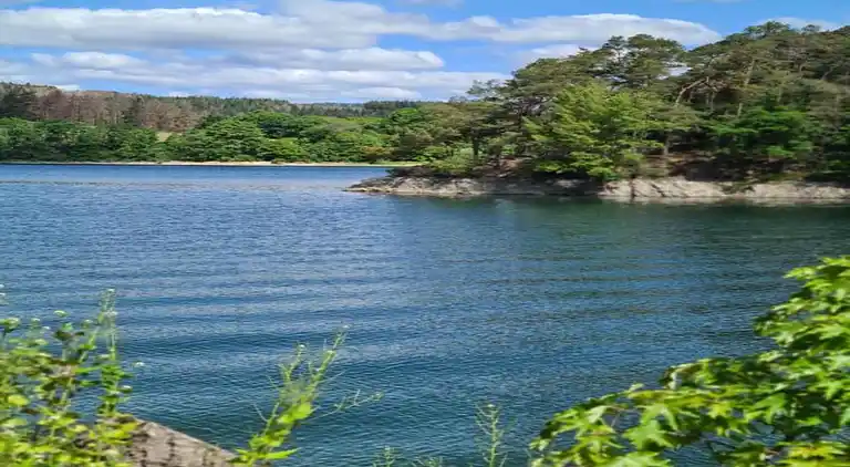 Apartment in Willingen (Upland)