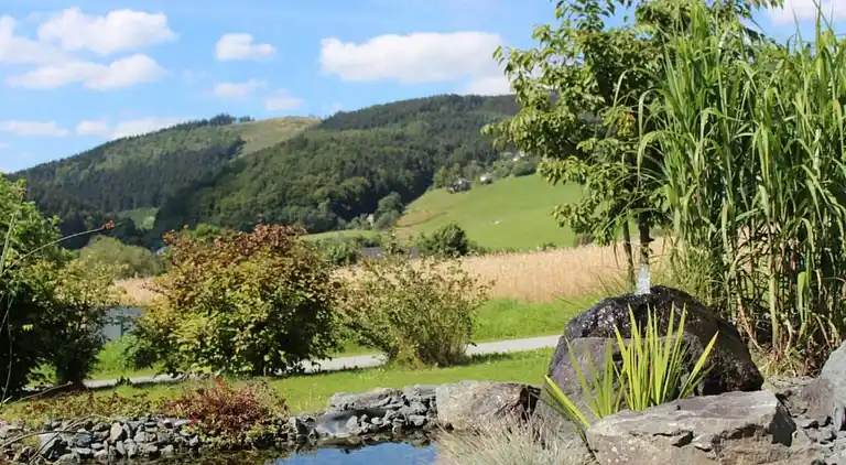 Apartment in Willingen (Upland)