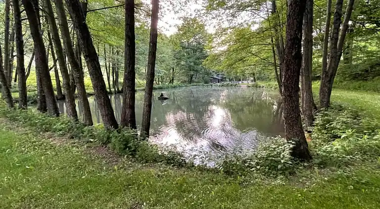 Vakantiehuis in Usseln