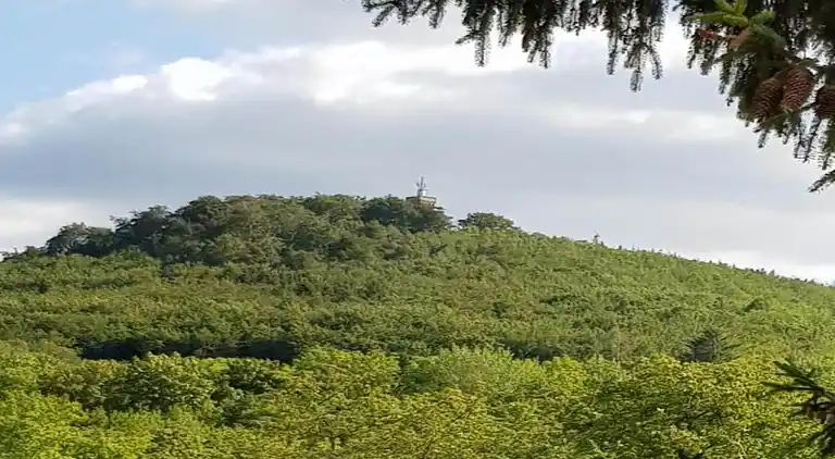 Apartment in Heimburg