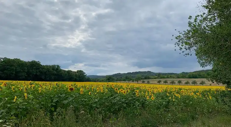 Apartment in Heimburg