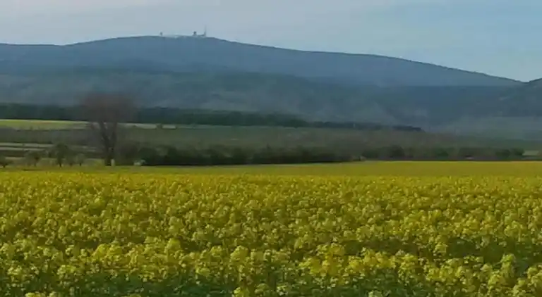 Apartment in Heimburg