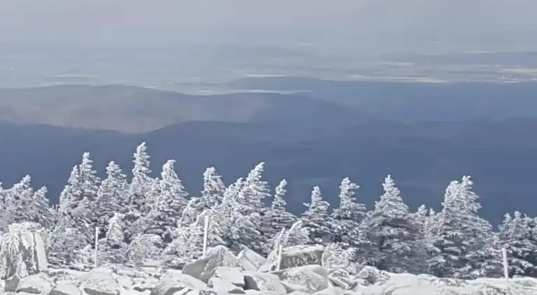Apartment in Heimburg