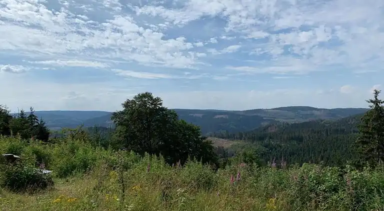 Apartment in Heimburg