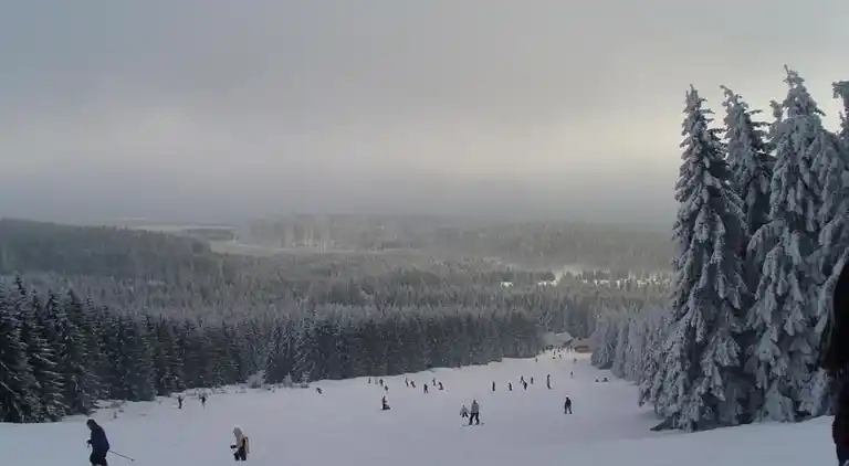 Apartment in Heimburg