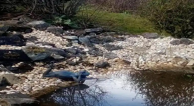 Apartment in Heimburg